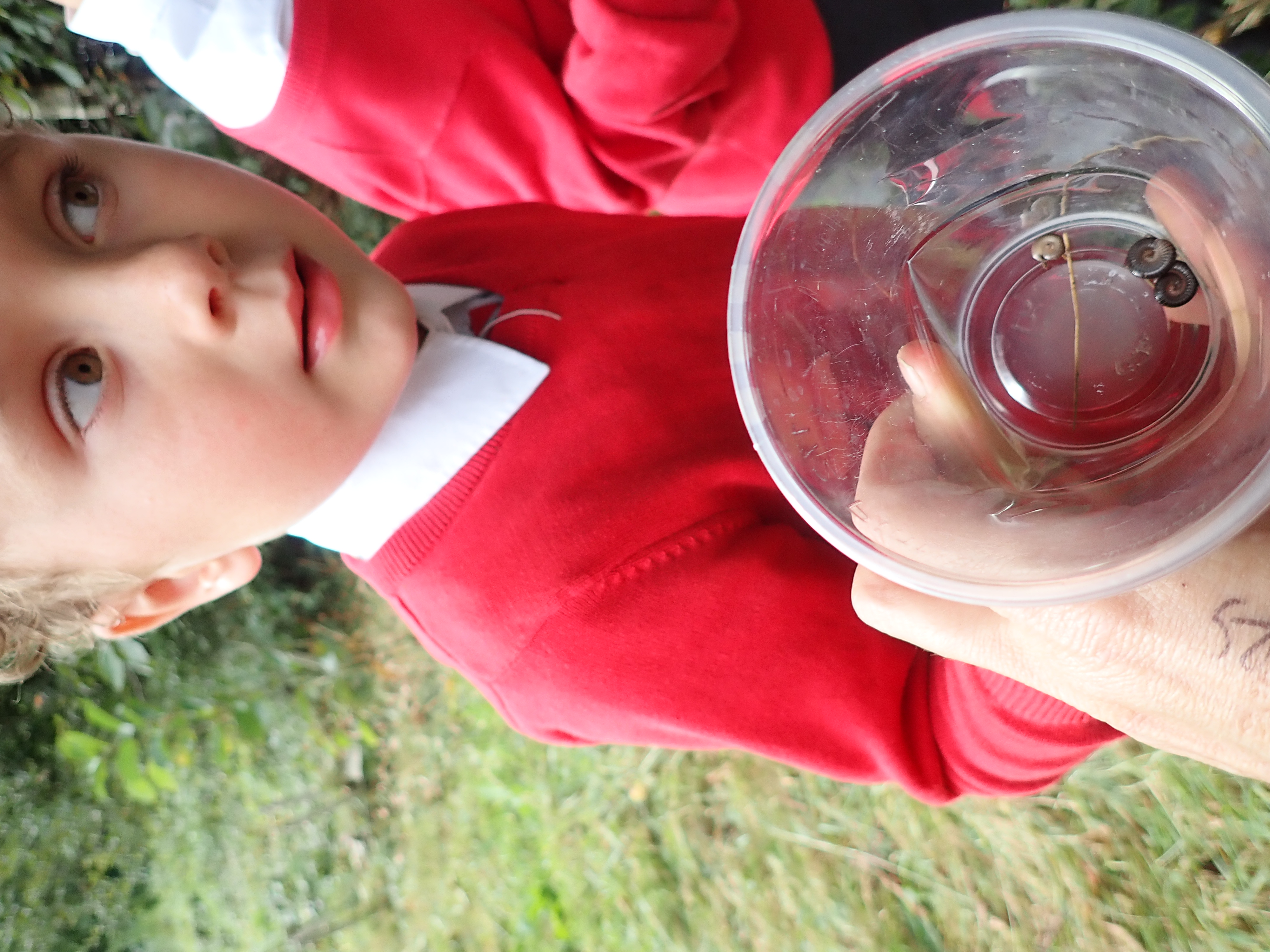 Alverton School children examine insects in a jar