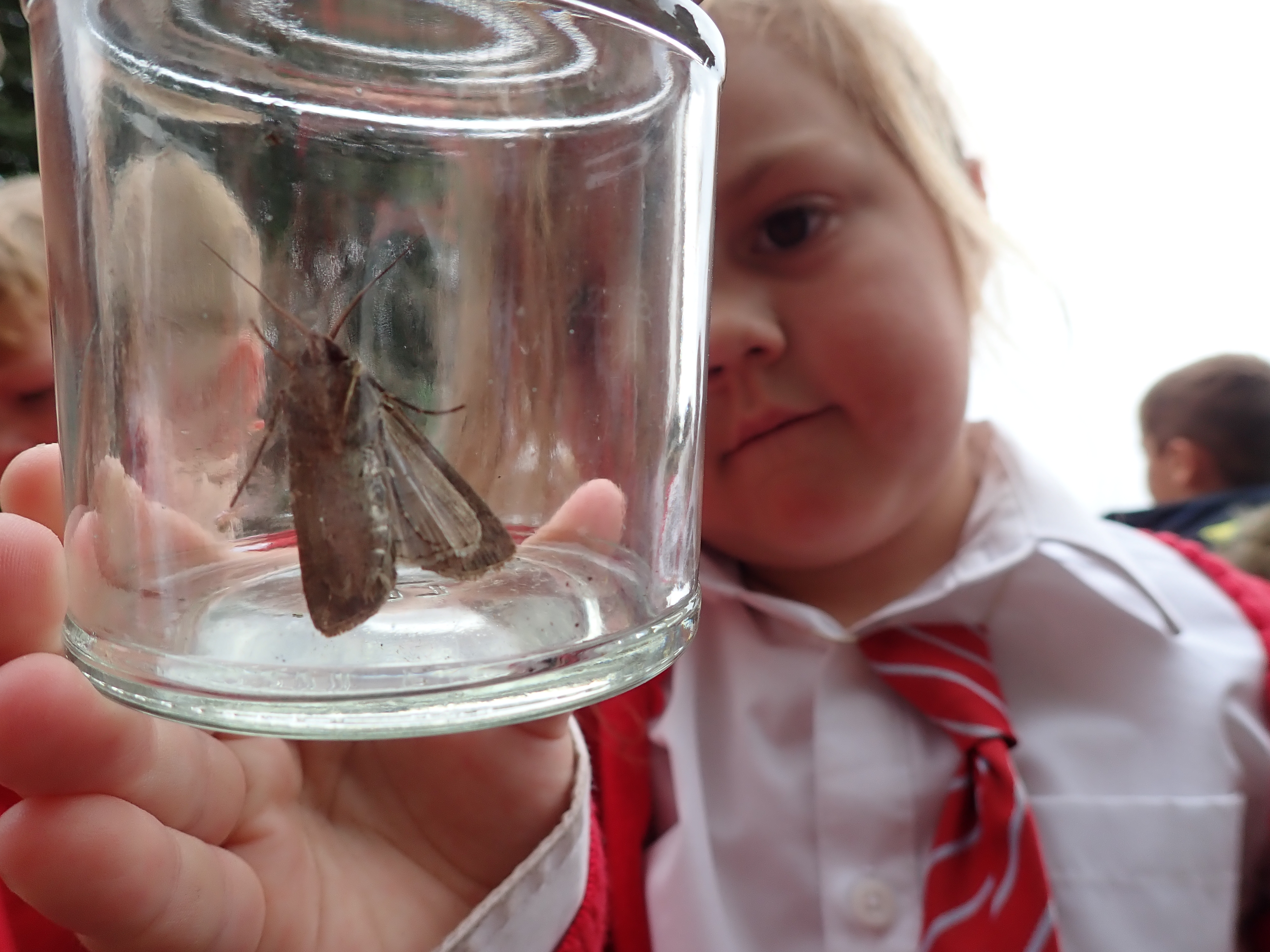 Alverton School children examine insects in a jar