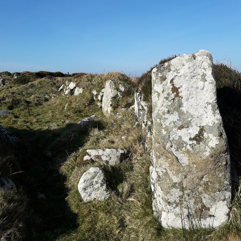 Bosullow Trehyllys wall