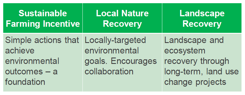 Table showing three Component Levels of the ELM scheme