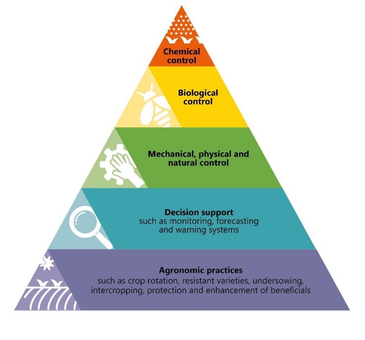 Integrated Pest Management triangle