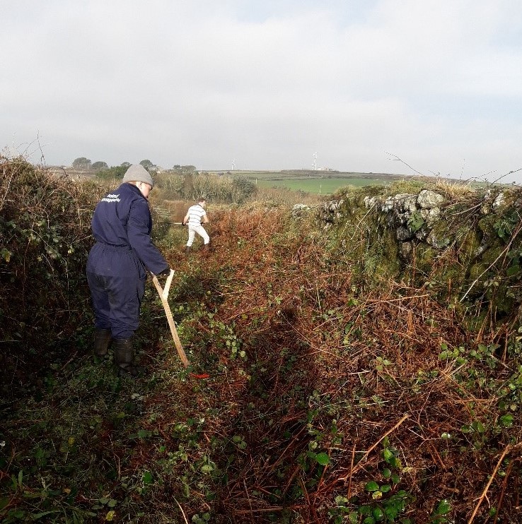 Duchy College student Louie White in the Penwith landscape