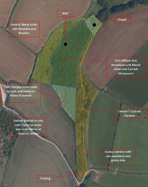 Madron Well Habitat Survey plan