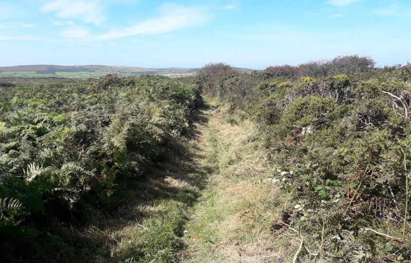 Men-an-Tol trail point 12 path