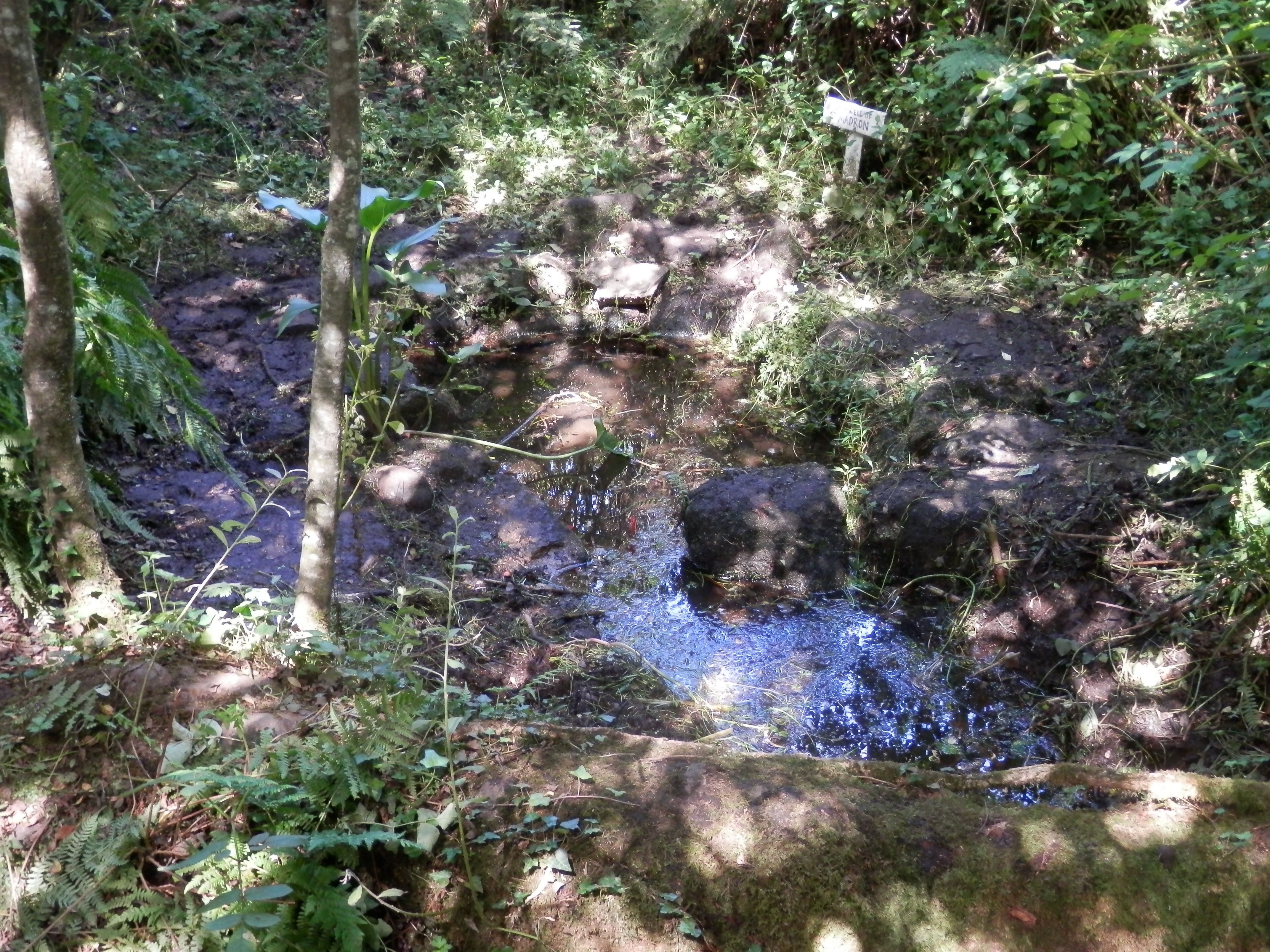 Madron Well in 2018