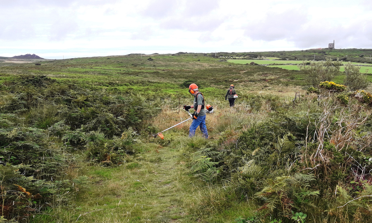 Strimming between Lanyon and Bosiliack