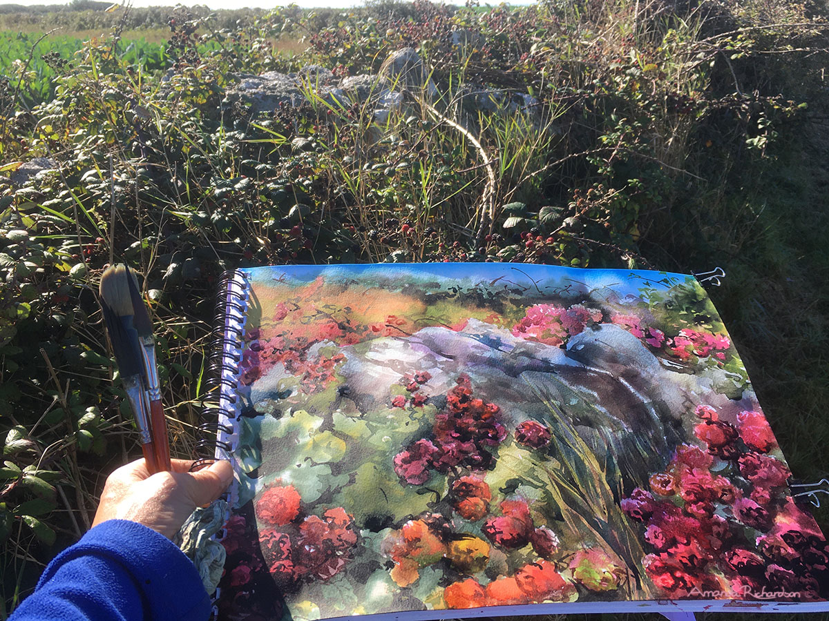 Lavish late blackberries in a sun saturated hedge. By Amanda Richardson