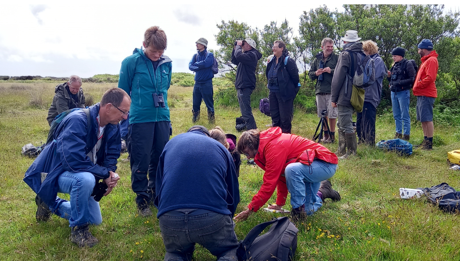 Penwith Wildlife Recording Group volunteers in the Penwith countryside