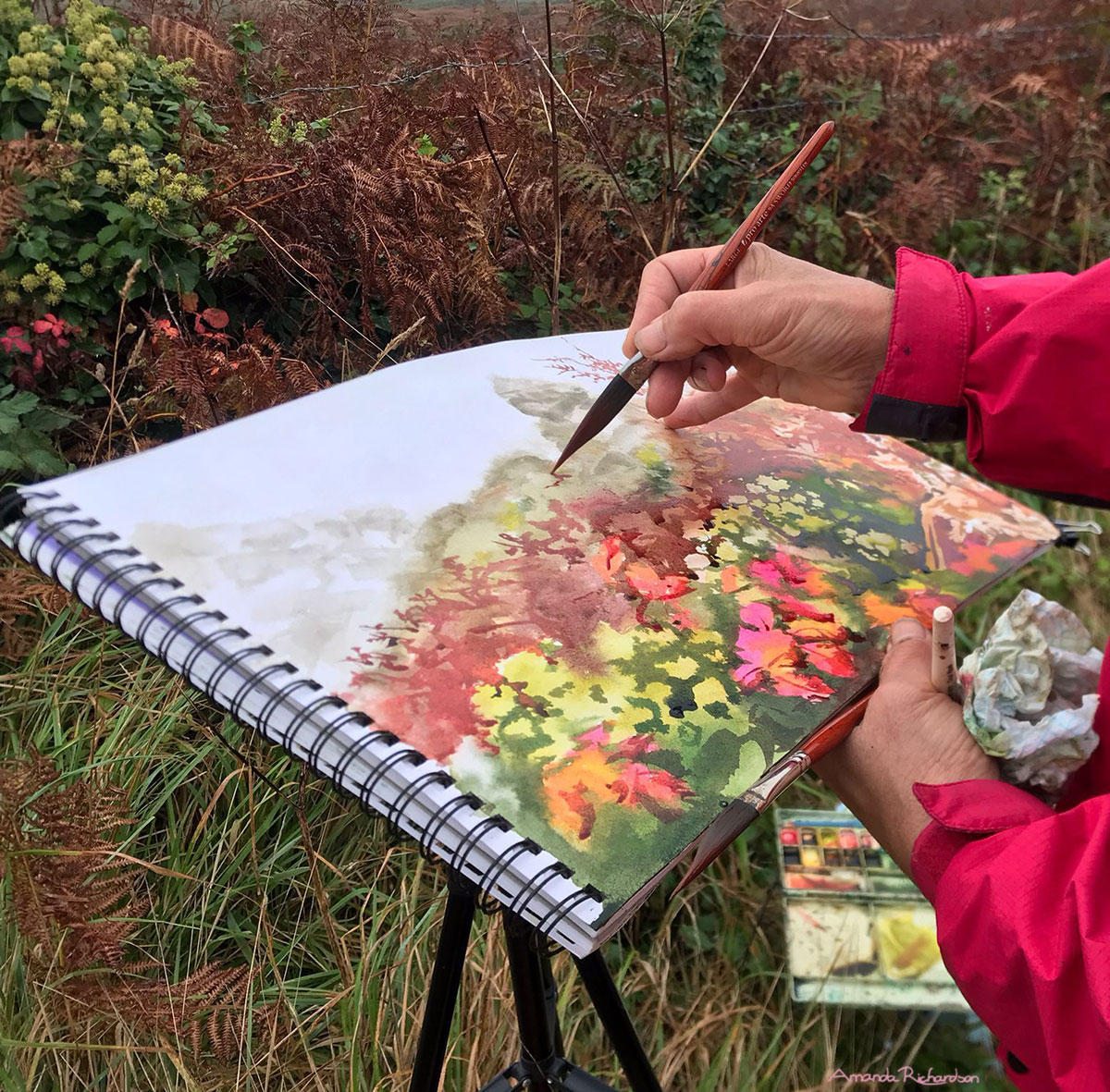 Artist Amanda Richardson Painting blackberries in a Cornish Hedge